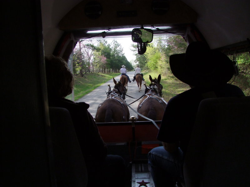 050-John & Mules.jpg